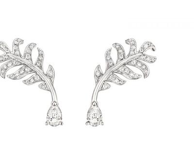 Λευκόχρυσο και μπριγιάν στα σκουλαρίκια-...