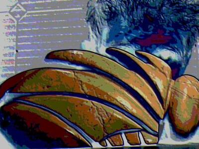 Πάτρα: Tα "όντα" του Θανάση Πα...