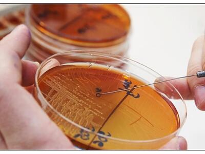 50 καθημερινές ουσίες που "πυροδοτο...