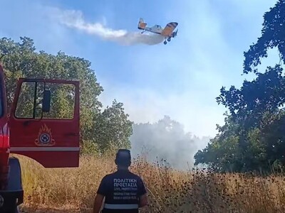Δυτική Ελλάδα: Υπό έλεγχο η φωτιά στο αρ...