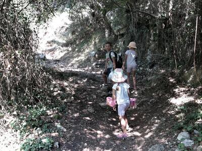 Φώτο: Νικολόπουλος Αντώνης