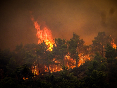 Πυρκαγιά στον Έβρο: Κάηκε σχεδόν το 60% ...