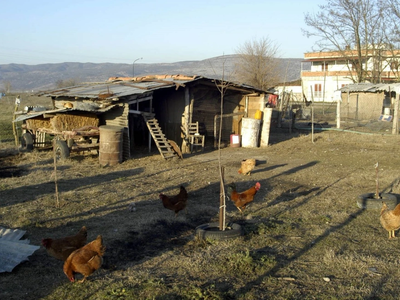 Βόλος: Συνταξιούχος ζει σε κοτέτσι για ν...