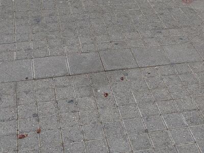 φωτογραφία facebook