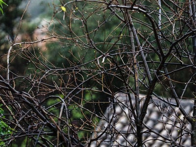 Καιρός σήμερα: Βροχές και καταιγίδες στα...