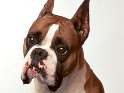 Πάτρα: Ζήτησε καταναλωτικό δάνειο για ν’...