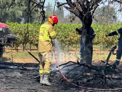 Φωτιά στο Ριόλο: Υπό μερικό έλεγχο η πυρ...