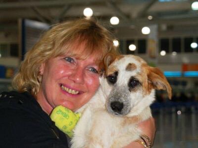 Πάτρα: Η μικρή σκυλίτσα ξαναπερπάτησε – ...