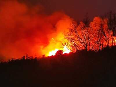 Ηλεία: Πυρκαγιά στο Λιβαδάκι Καλλιθέας- ΦΩΤΟ