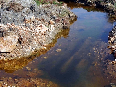 "Κεραυνοί" Γκοτσούλια για τη ν...
