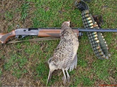 Αγρίνιο: Στα άκρα η "κόντρα" κ...