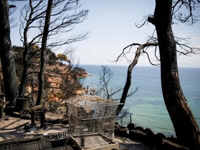 "Πόλεμος" για το σήμα του λιμε...