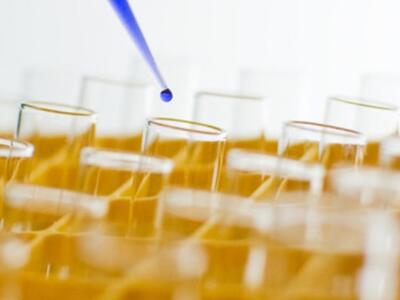 Πάτρα: Εκπαιδευτικό Σεμινάριο της Κλινικ...