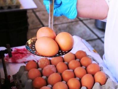 Δεν βρέθηκαν στην Ελλάδα μολυσμένα αυγά ...