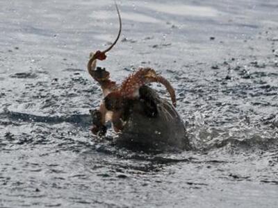 Λευκάδα: Οι φωτογραφίες της ημέρας - Η σ...