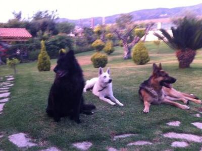 Πάτρα: Χάθηκαν απο την Περιβόλα - Δίδετα...