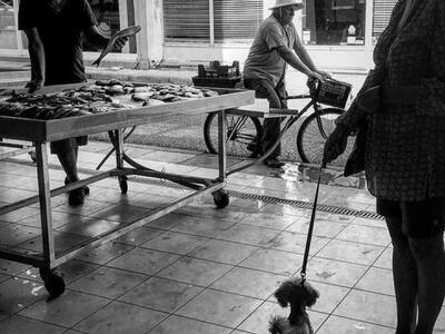 Μια σκηνή σε ιχθυοπωλείο, θυμίζει ταινία