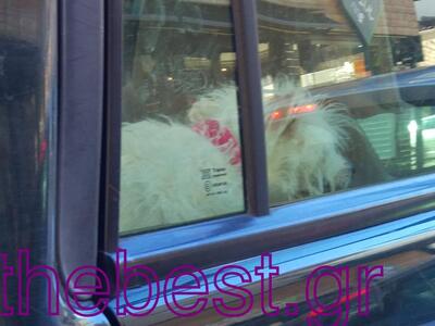 Ο συνεπιβάτης στο Ι.Χ. και η βόλτα στους...