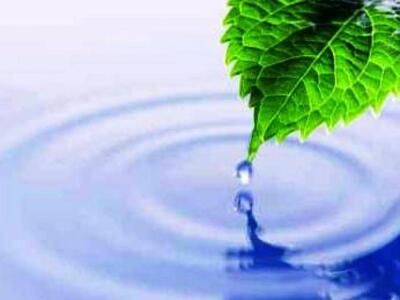 Αιγιάλεια: Εκδήλωση στα πλαίσια της Παγκ...