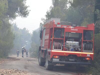 Μελέτη αποκαλύπτει γιατί και από ποιους ...