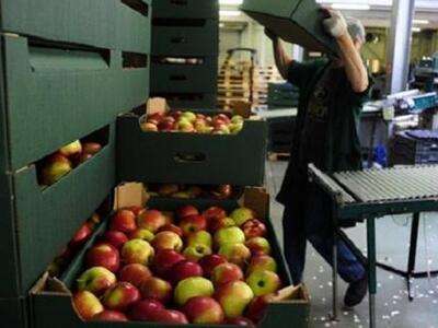 Οι επιπτώσεις απο το Ρώσικο εμπάργκο για...