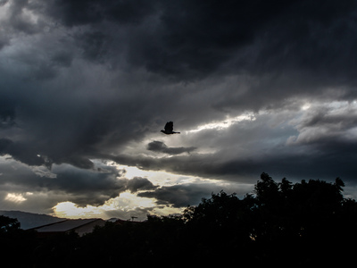 LIVE- Κακοκαιρία Genesis: Πού θα χτυπήσε...