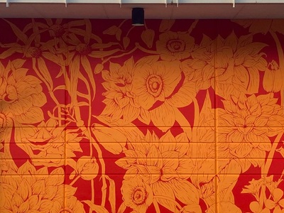 Πάτρα: Η Aurora Campbell από την Αυστραλ...