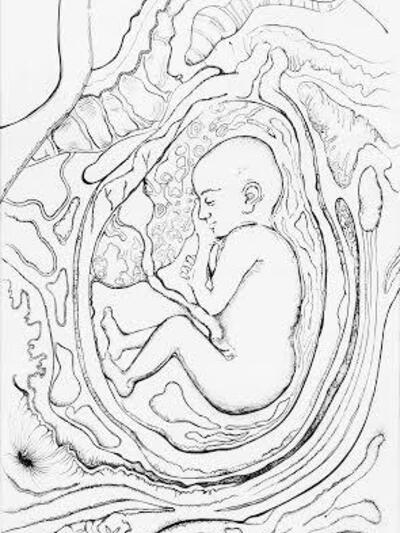 Έργο της Εύης Αποστόλου.