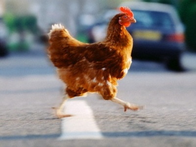 ΑΥΤΑ τα μέτρα πρέπει να πάρετε κατά της ...