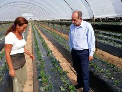Δυτική Ελλάδα: 1.731 νέοι αγρότες χρηματ...