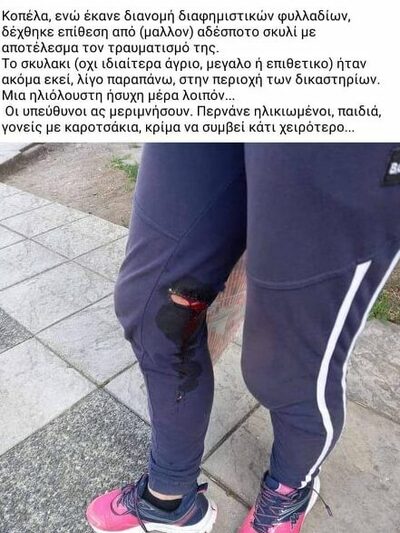 Αγρίνιο: Σκύλος επιτέθηκε σε γυναίκα που διένειμε φυλλάδια -ΦΩΤΟ