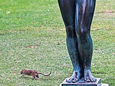 Πανικός επικράτησε στο περίφημο Μουσείο ...