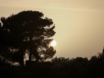 Γίναμε... Αφρική 