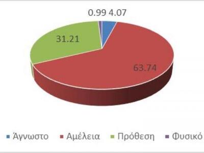 Σχήμα 2: Κατηγορίες αιτίων έναρξης δασικών και αγροδασικών πυρκαγιών στη Βιομηχανική Περιοχή (ΒΙ.ΠΕ.) της Πάτρας