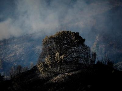 φωτο eurokinissi Περιστερι Ηλείας