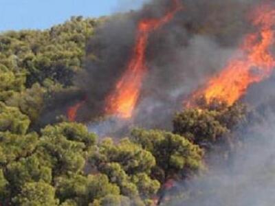 Μεγάλη πυρκαγιά στη Ζάκυνθο στην περιοχή...