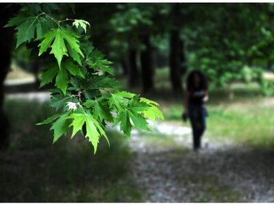 Περιβαλλοντικώς