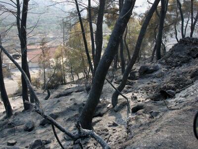 Οι πυρόπληκτοι της Ηλείας ξεσπούν...Ακόμ...