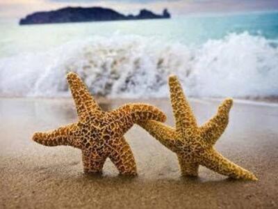 Πάτρα: "Η Υγιής προσωπικότητα"...