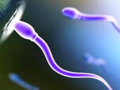 Η τηλεόραση επηρεάζει την ποιότητα του σπέρματος 