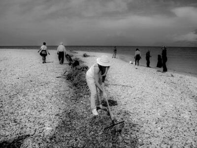 Patrinistas και Ναυτοπρόσκοποι καθαρίζου...