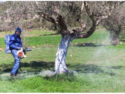 Ηλεία: Συνάντηση και συζήτηση για τη δακοκτονία 