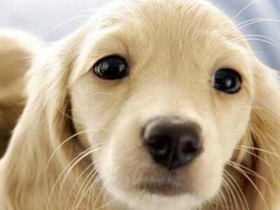 Η Ευδοκία Κοντορεπανίδου, διάδοχος στο κ...