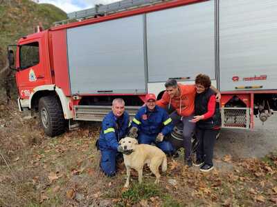 Δυτ. Ελλάδα: Επιχείρηση πυροσβεστών για ...