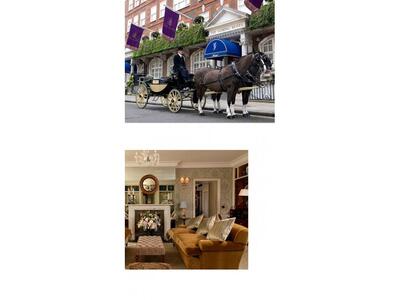 The Goring