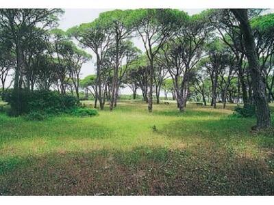 ΟΙΚΙΠΑ : «Το περιβάλλον δεν θα πρέπει να...