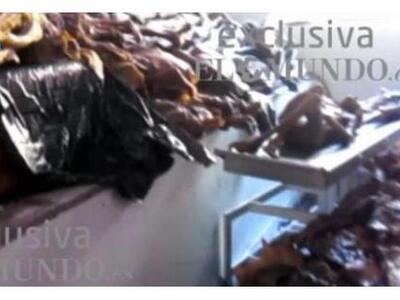 Μαδρίτη! Δεκάδες πτώματα πεταμένα σε αίθ...