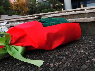 Για τον 15χρονο Αλέξη όλοι στους δρόμους...