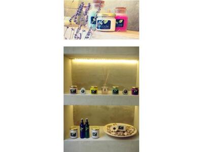 Hama Summer Discovery Event