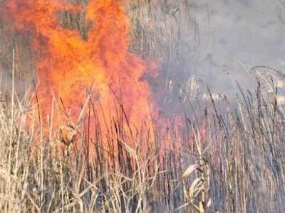 Ηλεία: Πυρκαγιές ανάμεσα σε Γαστούνη-Βαρθολομιό